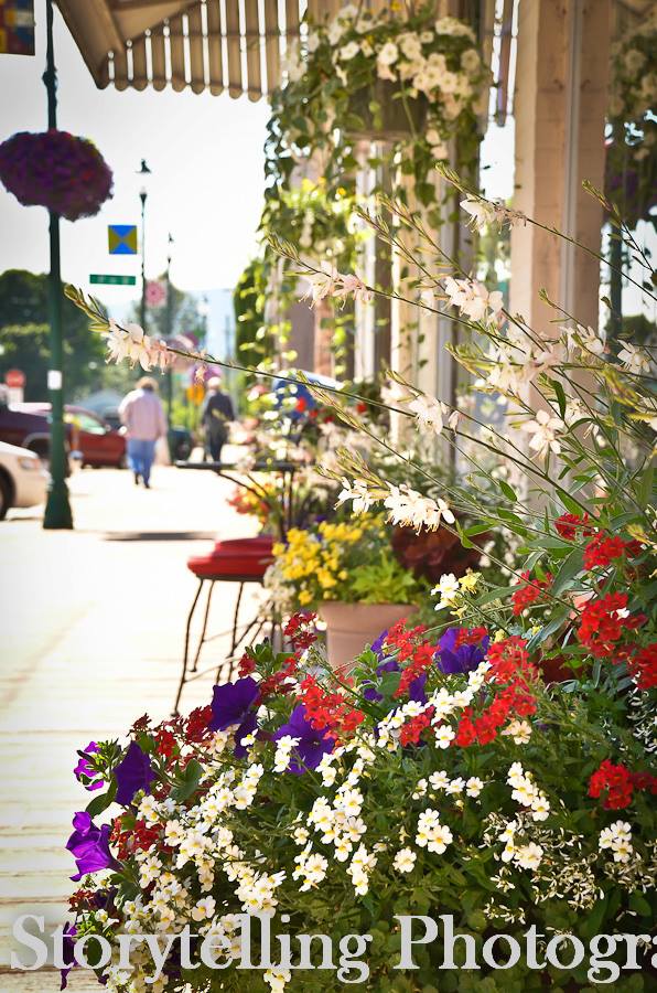 Castle Rock downtown baskets