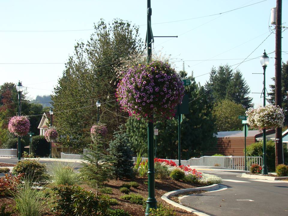 Castle Rock flower baskets